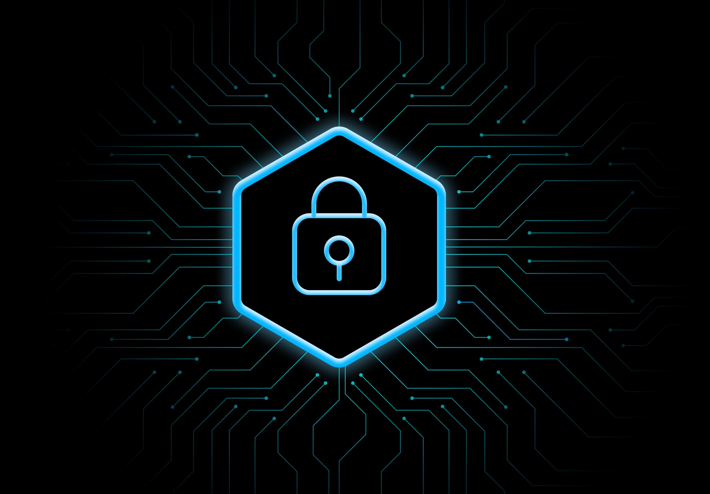 Secure, encrypted money transfers with MigraPay